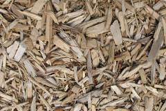 biomass boilers Law